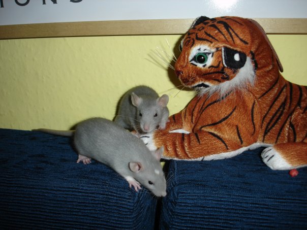 skoro jako vejce vejci=)